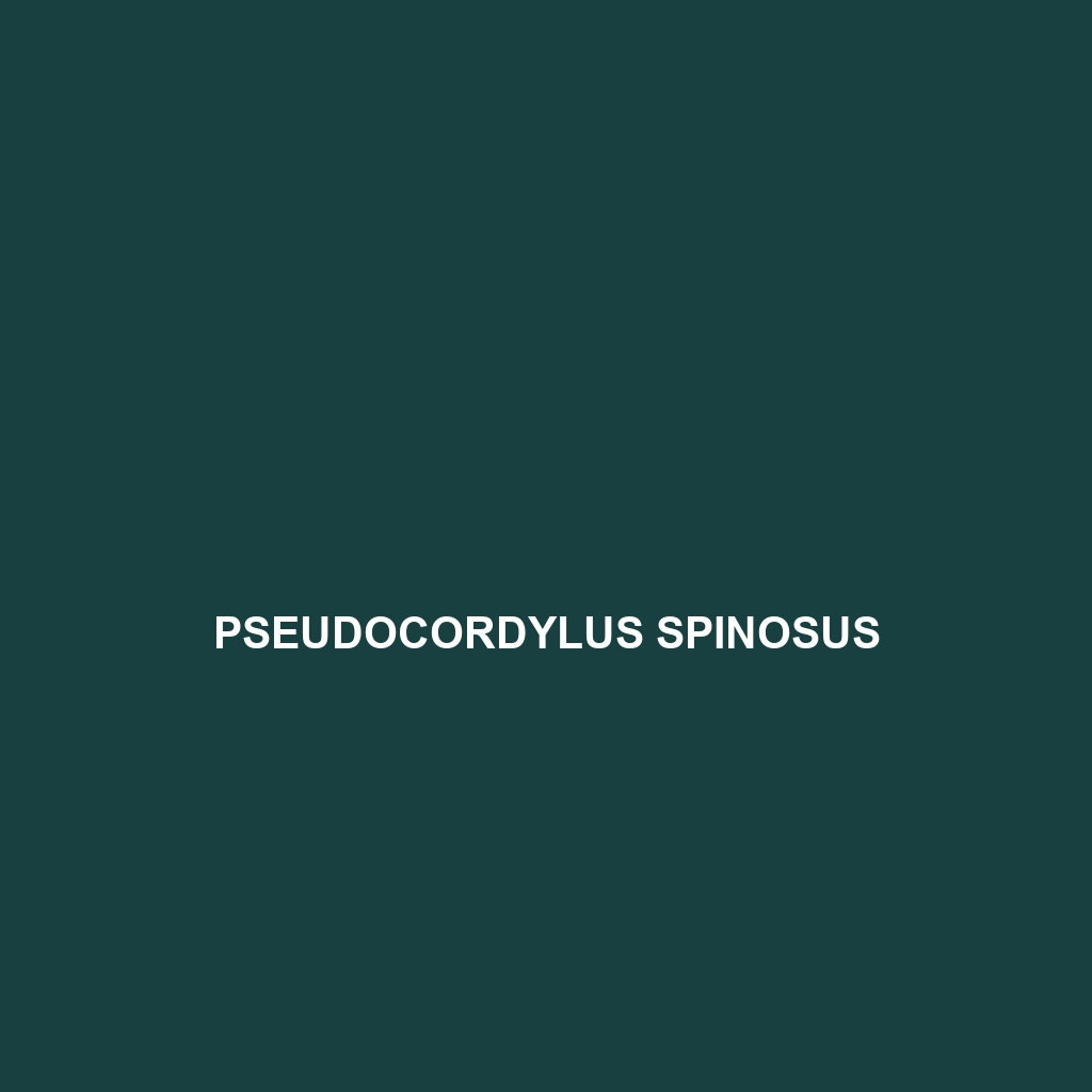 Pseudocordylus spinosus