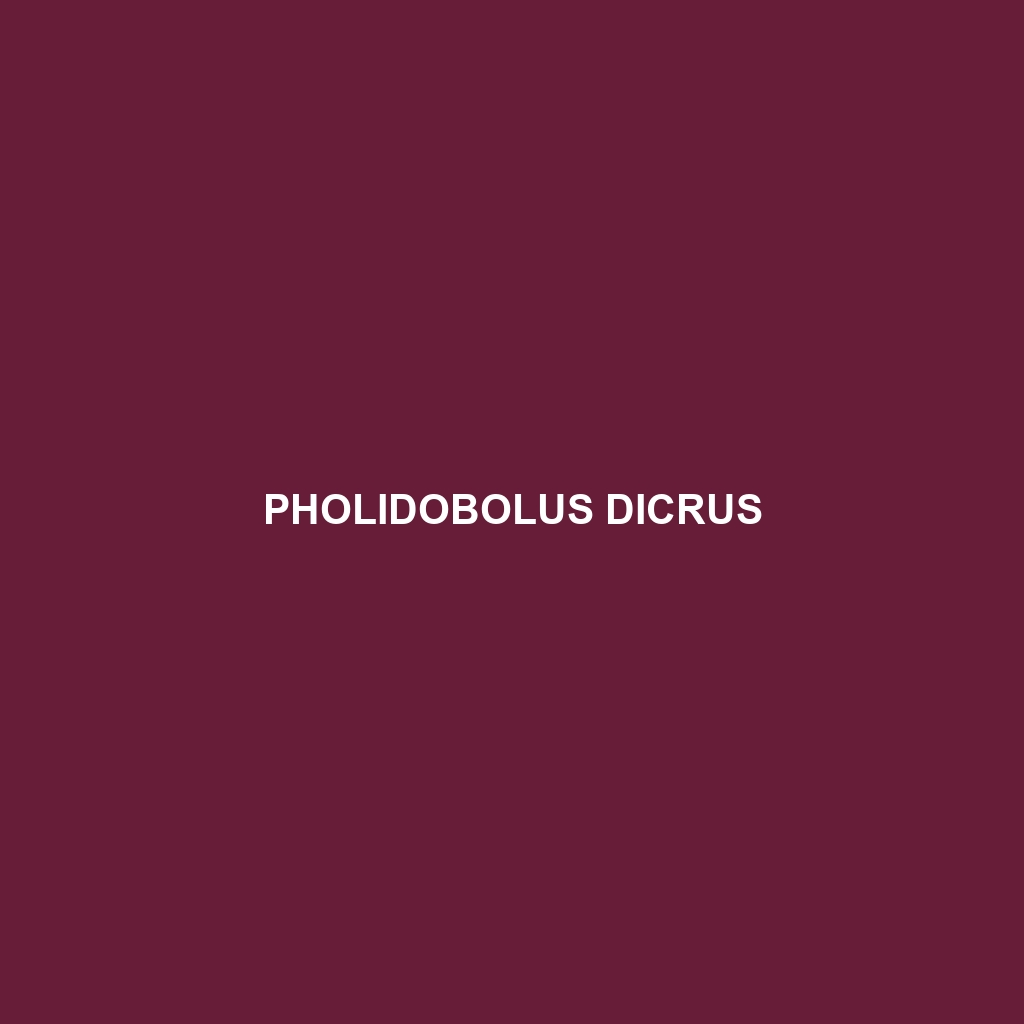 Pholidobolus dicrus