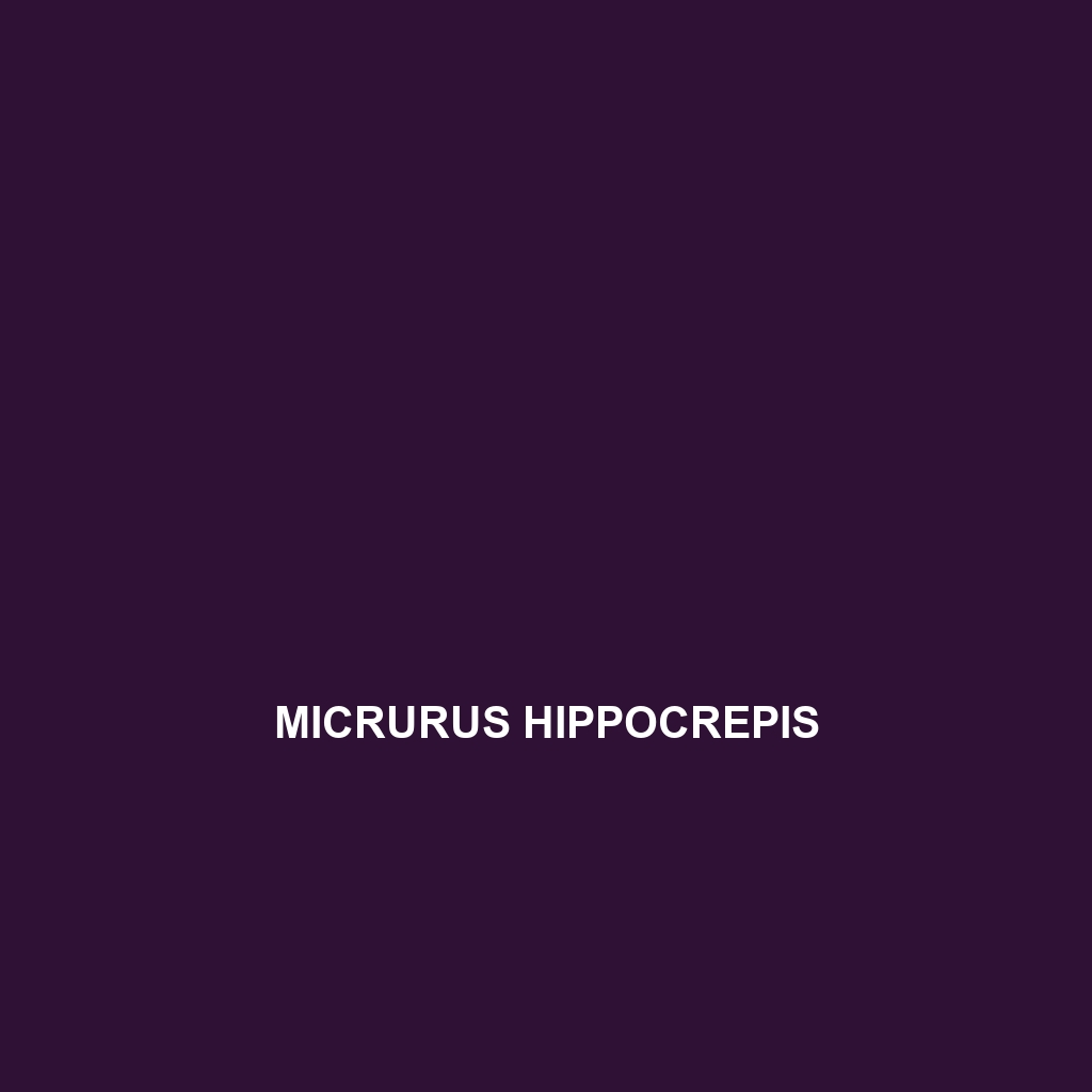 Micrurus hippocrepis