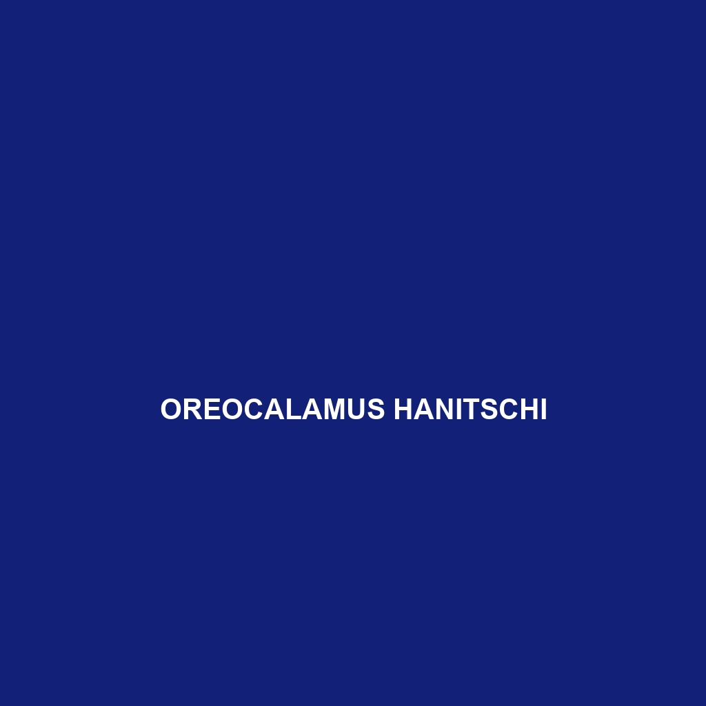 Oreocalamus hanitschi