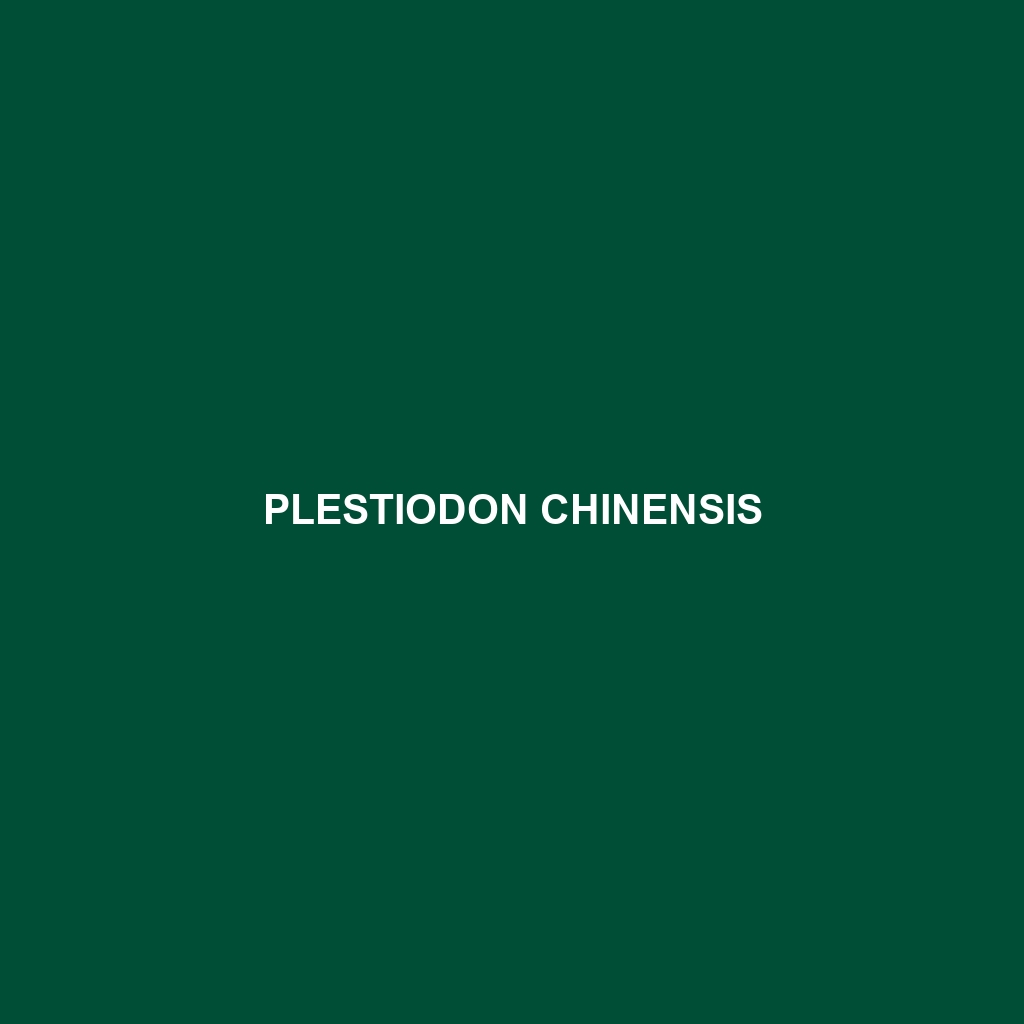 Plestiodon chinensis