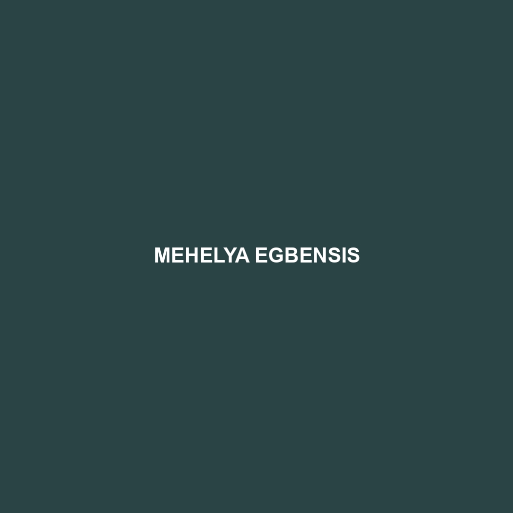 Mehelya egbensis