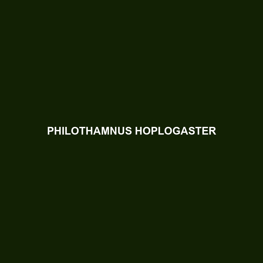 Philothamnus hoplogaster