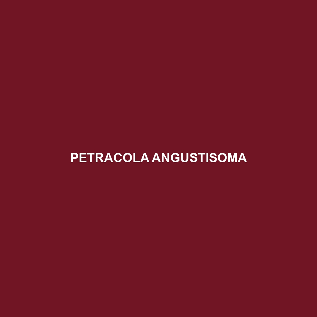 Petracola angustisoma