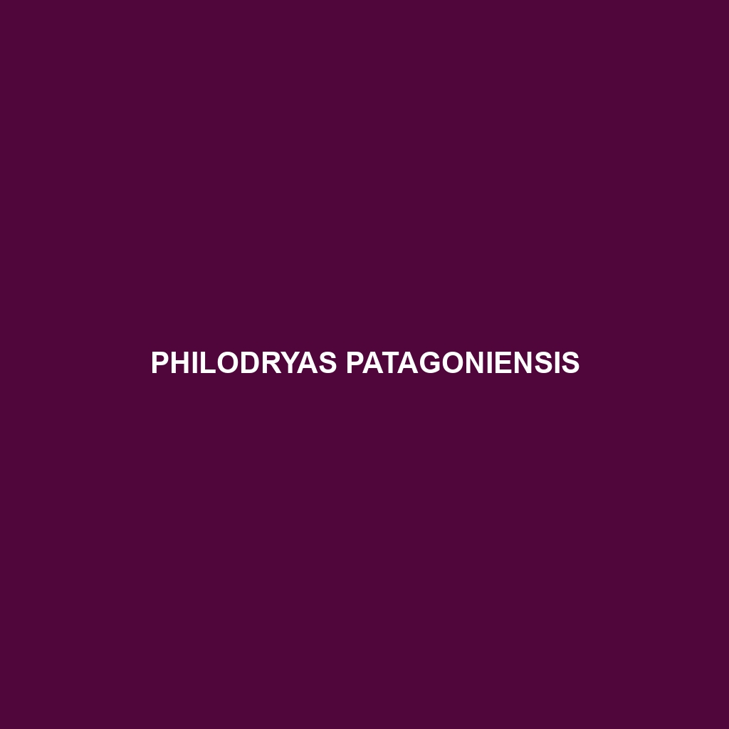 Philodryas patagoniensis