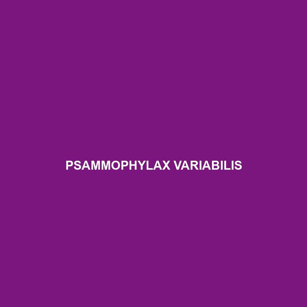 Psammophylax variabilis