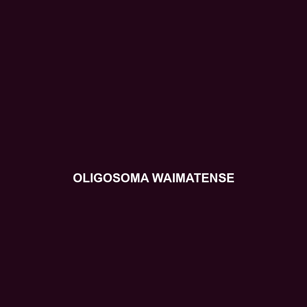 Oligosoma waimatense