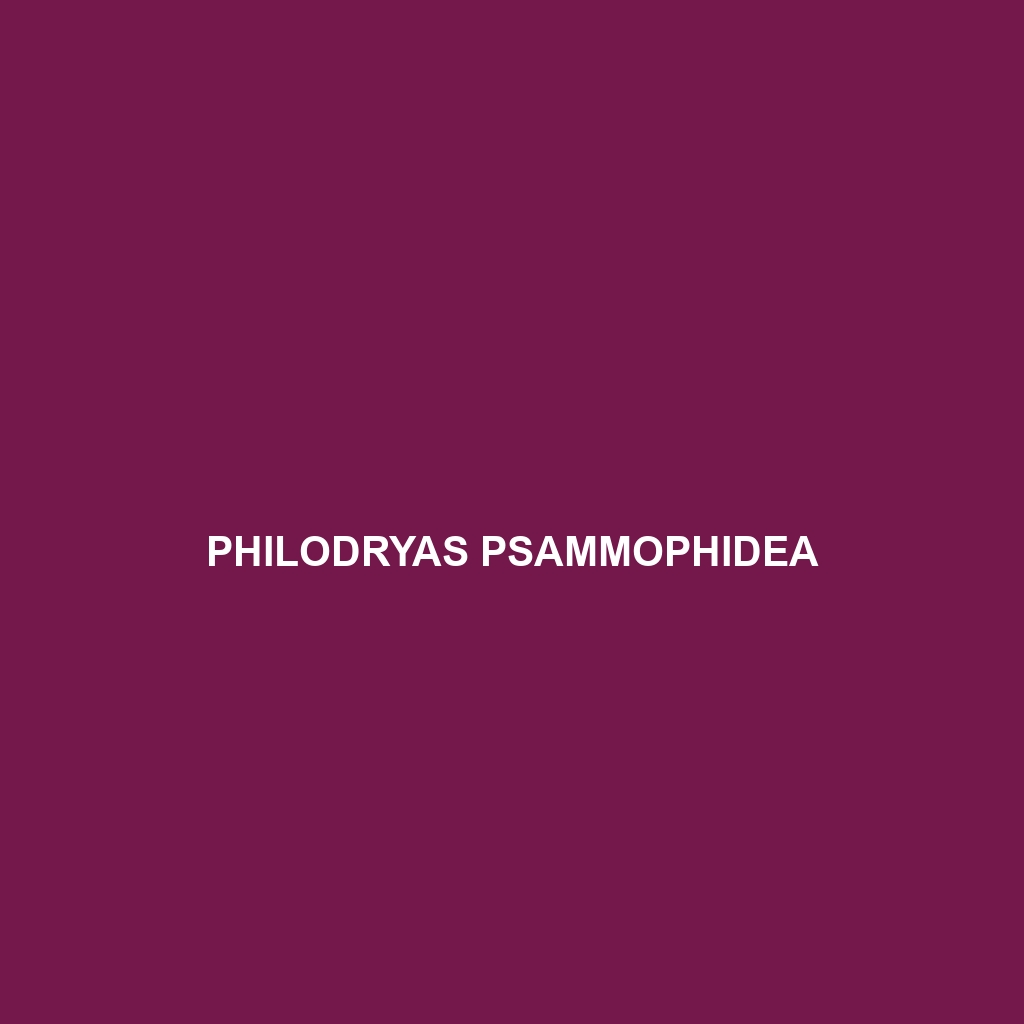 Philodryas psammophidea