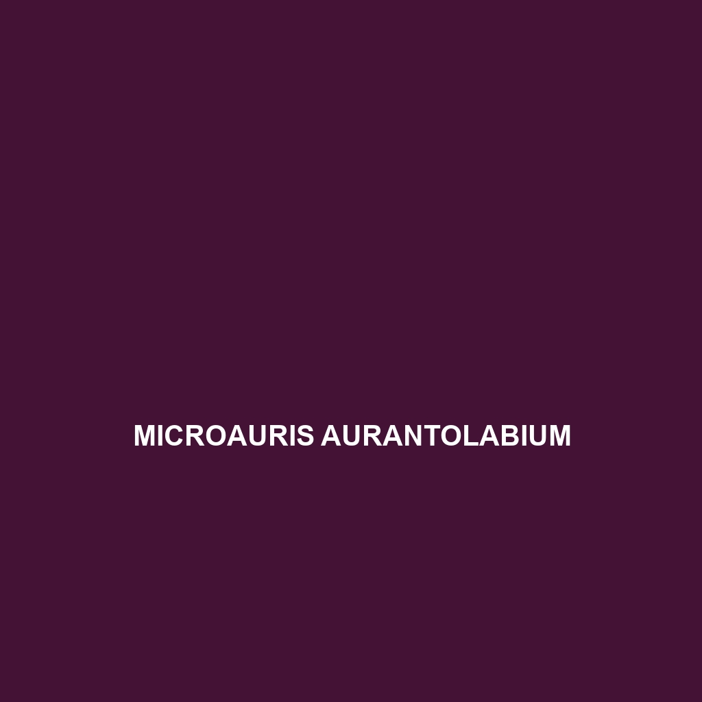 Microauris aurantolabium