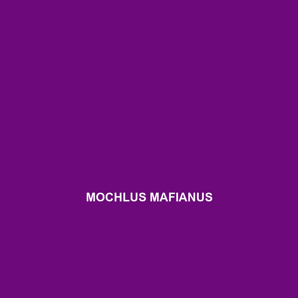 Mochlus mafianus