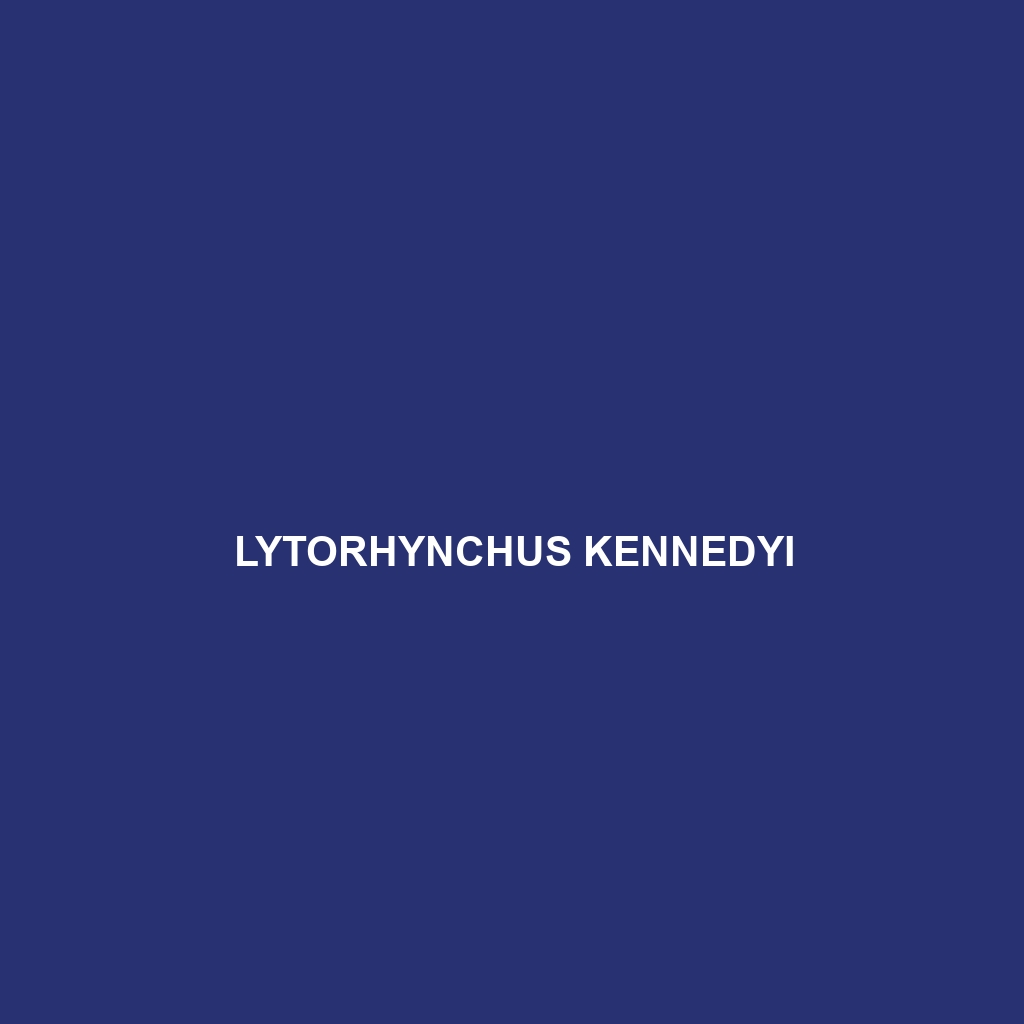 Lytorhynchus kennedyi