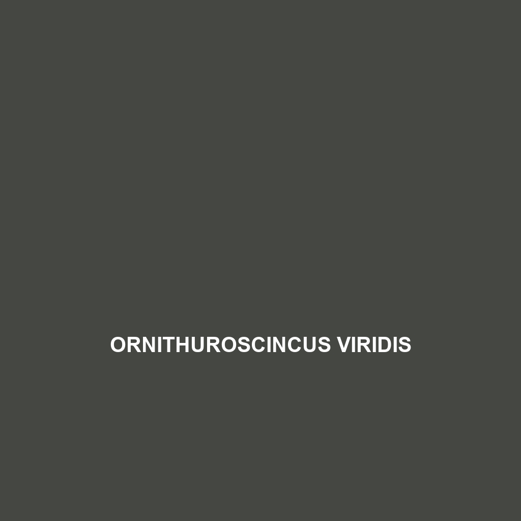 Ornithuroscincus viridis