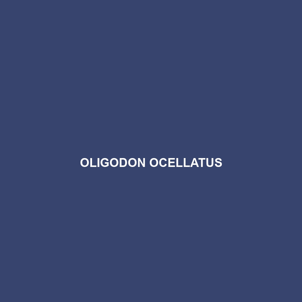 Oligodon ocellatus