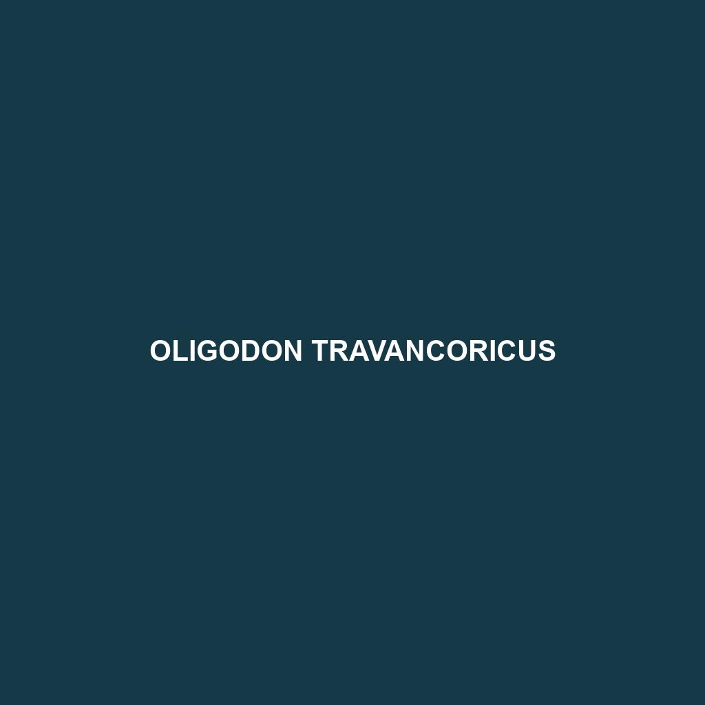 Oligodon travancoricus