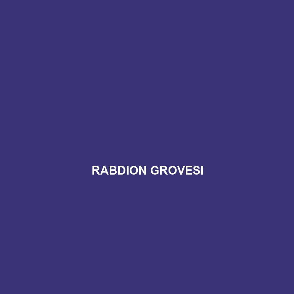 Rabdion grovesi