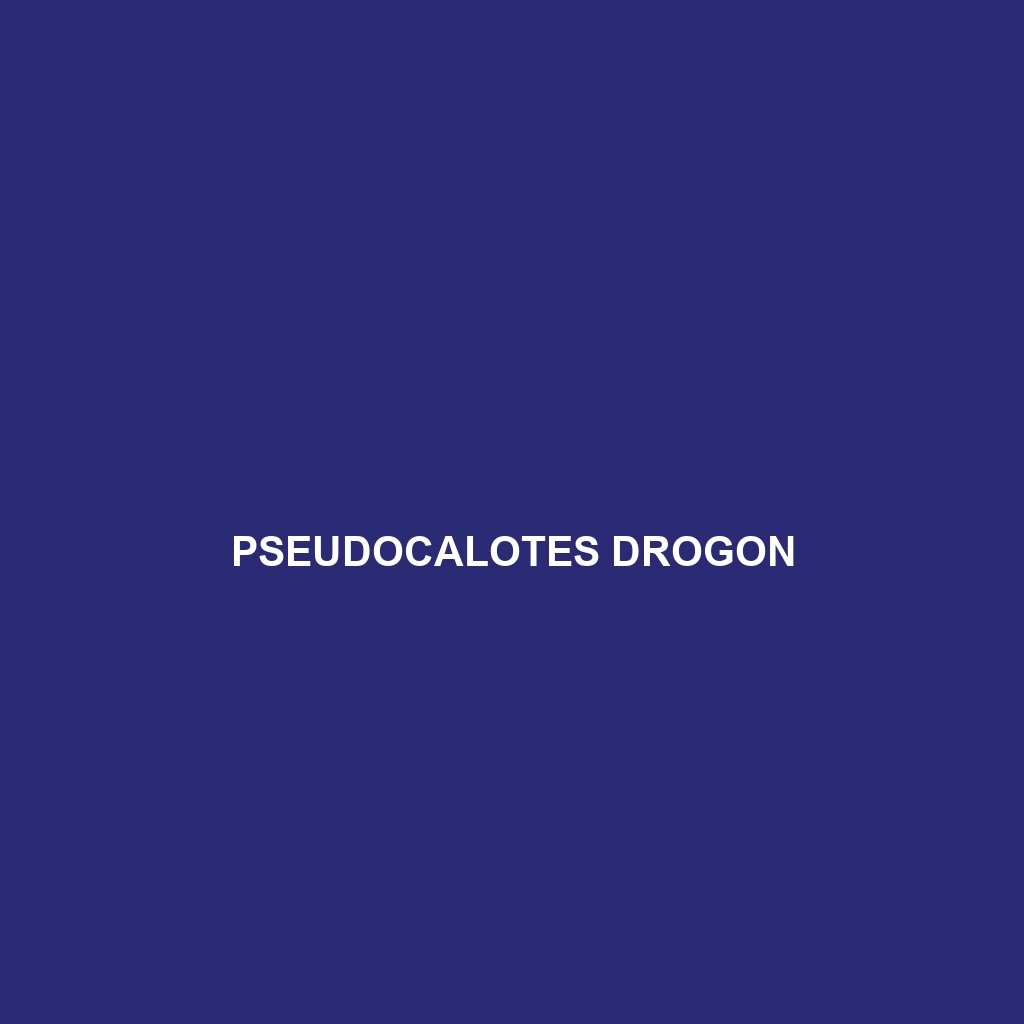 Pseudocalotes drogon