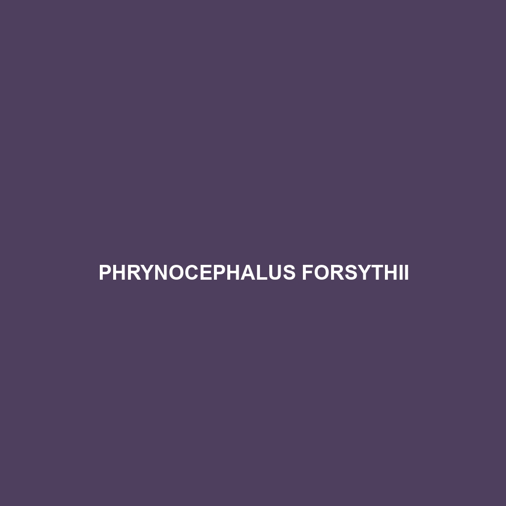 Phrynocephalus forsythii