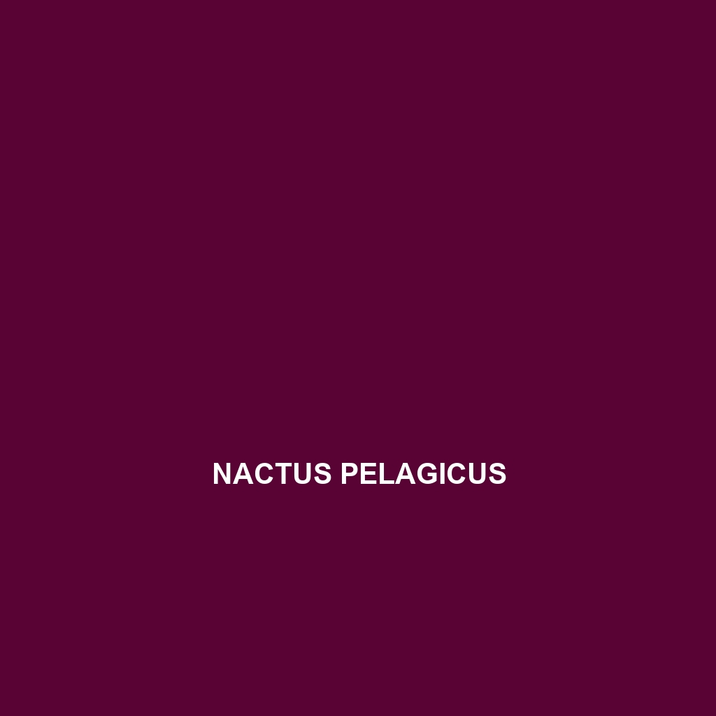 Nactus pelagicus