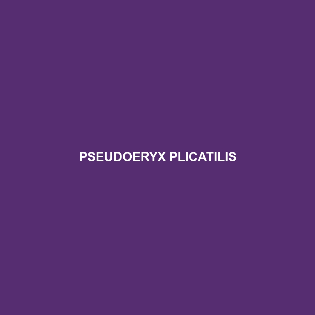 Pseudoeryx plicatilis