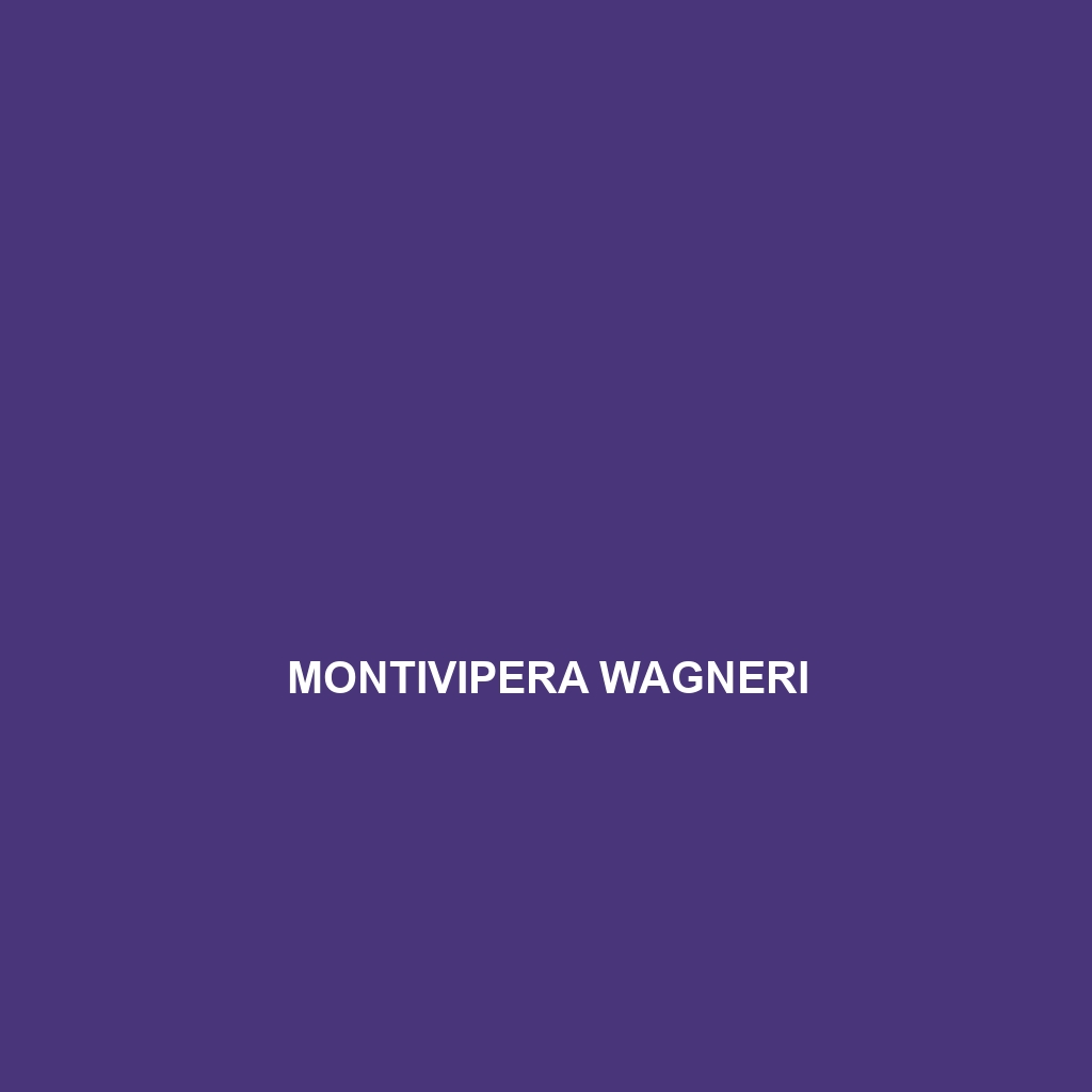 Montivipera wagneri