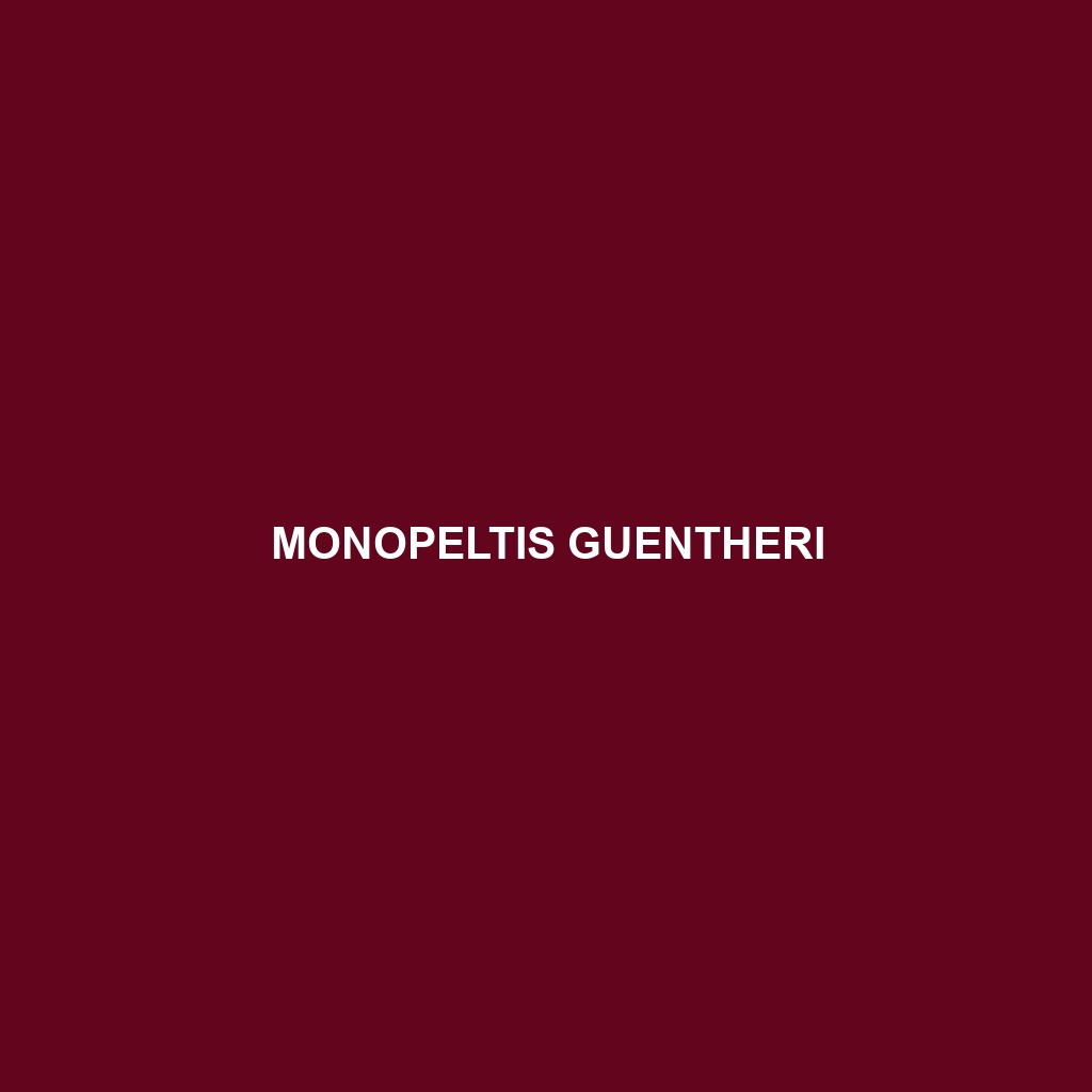 Monopeltis guentheri