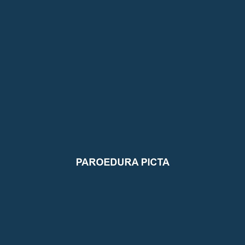 Paroedura picta