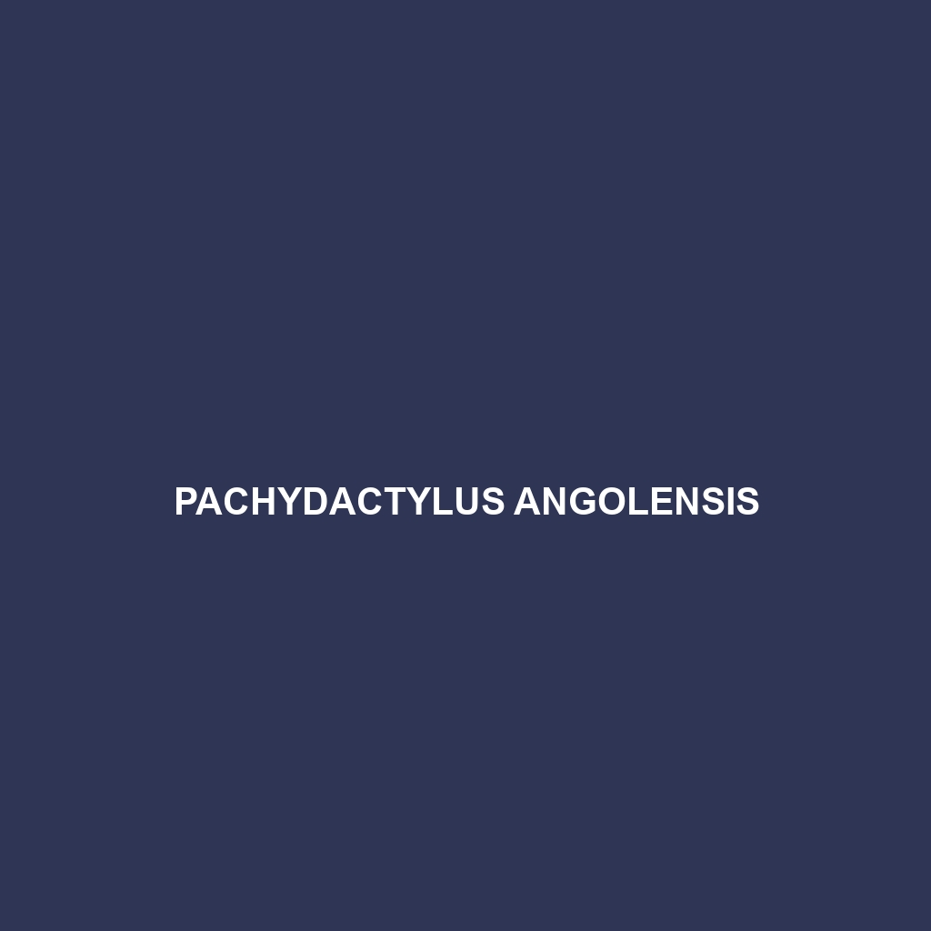 Pachydactylus angolensis