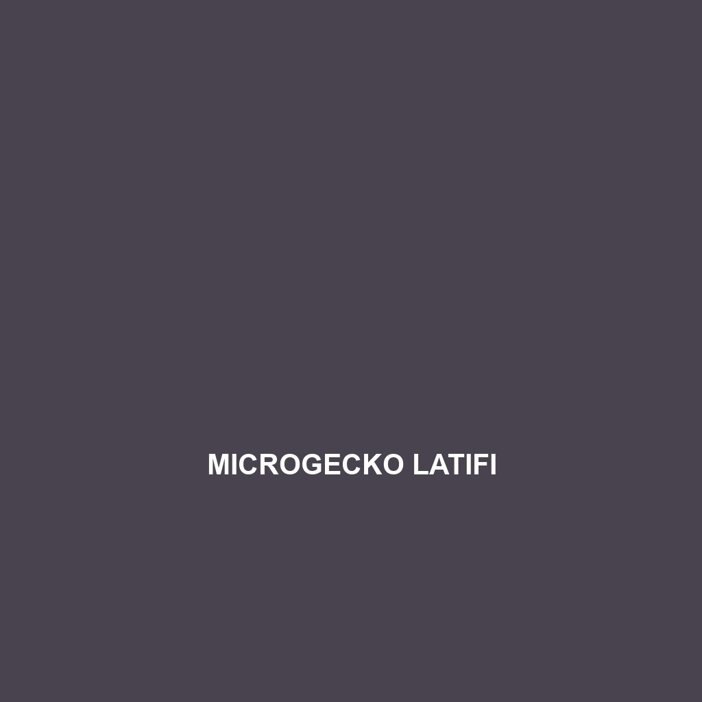 Microgecko latifi