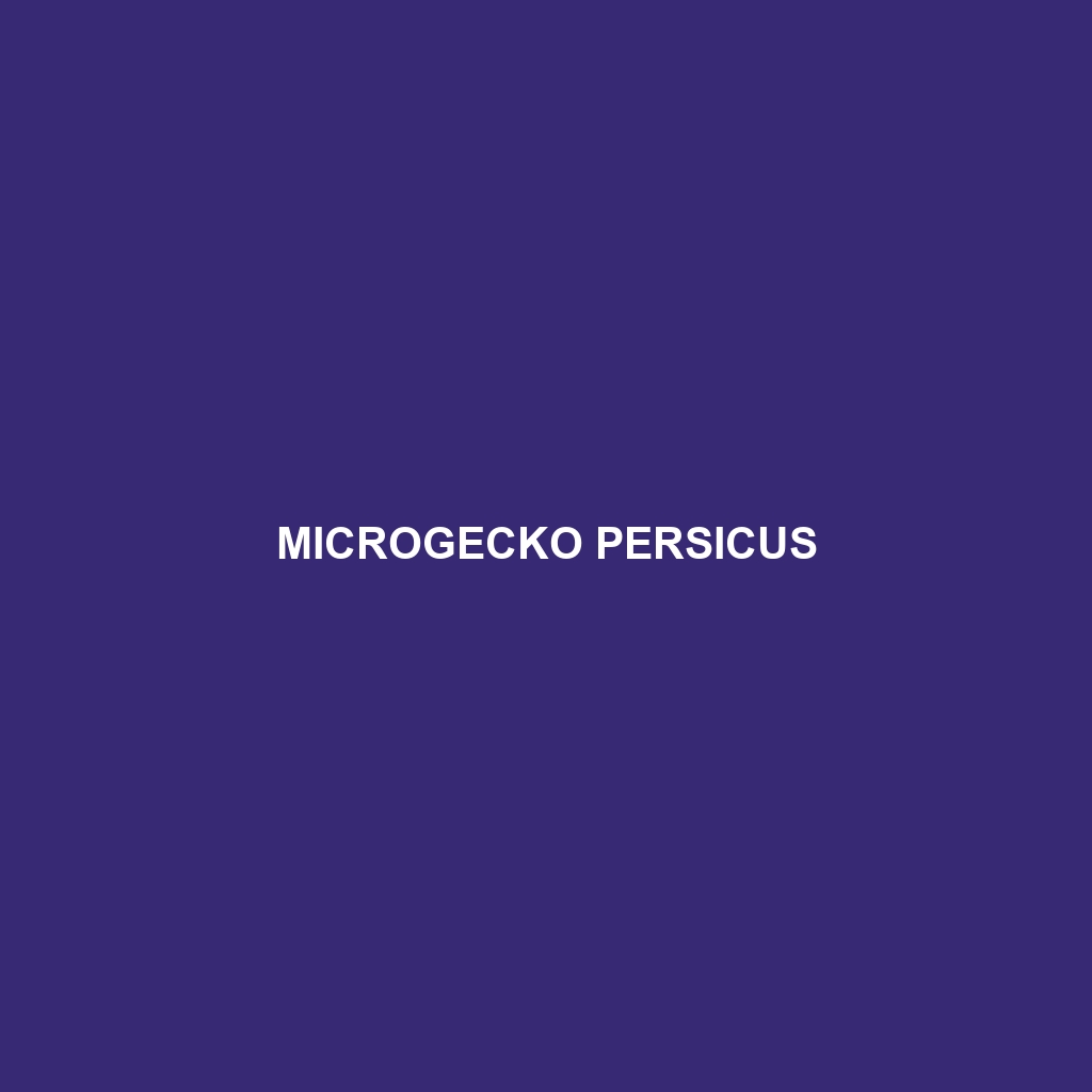 Microgecko persicus