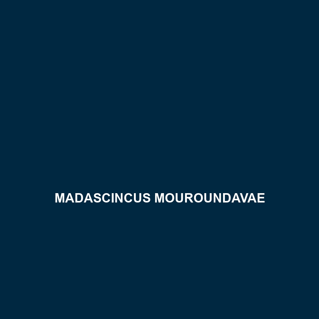 Madascincus mouroundavae