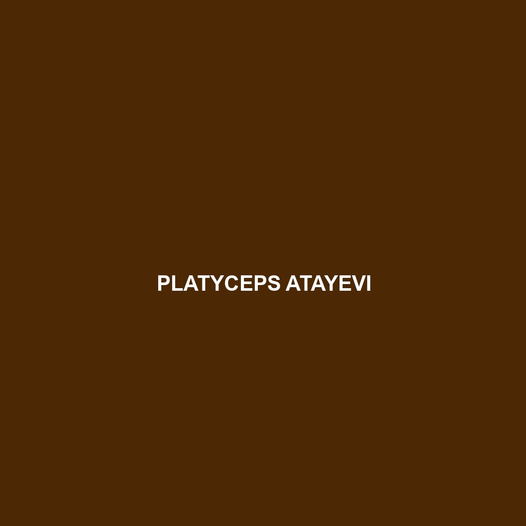 Platyceps atayevi