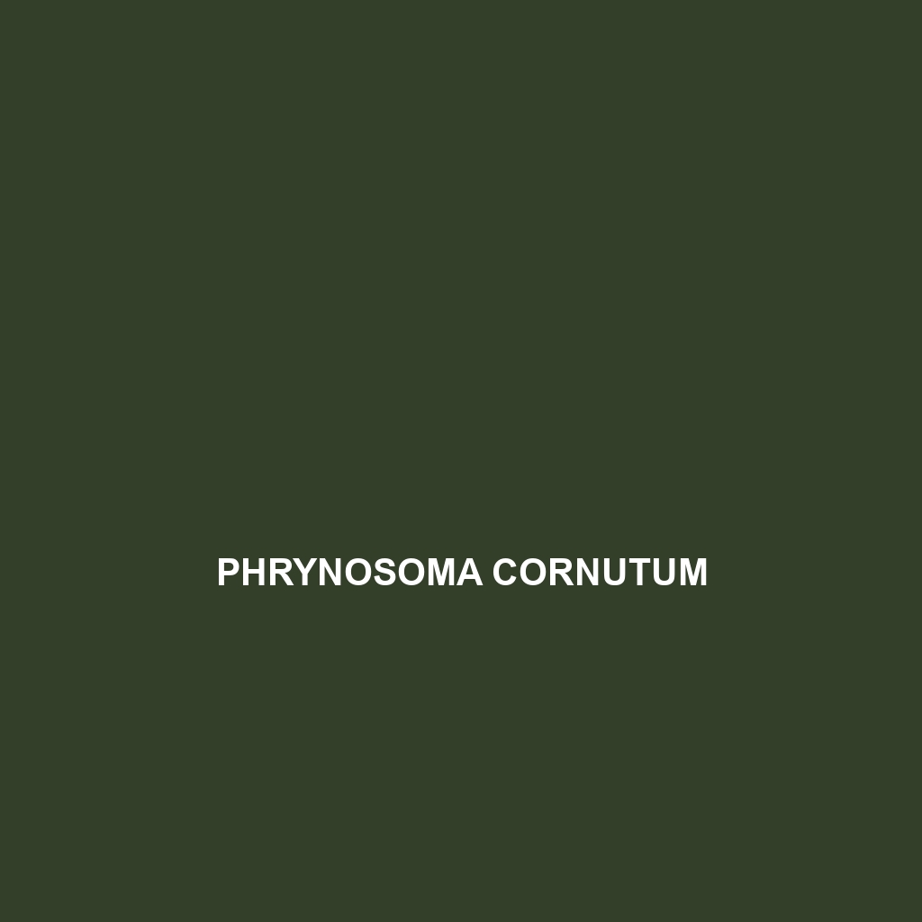 Phrynosoma cornutum