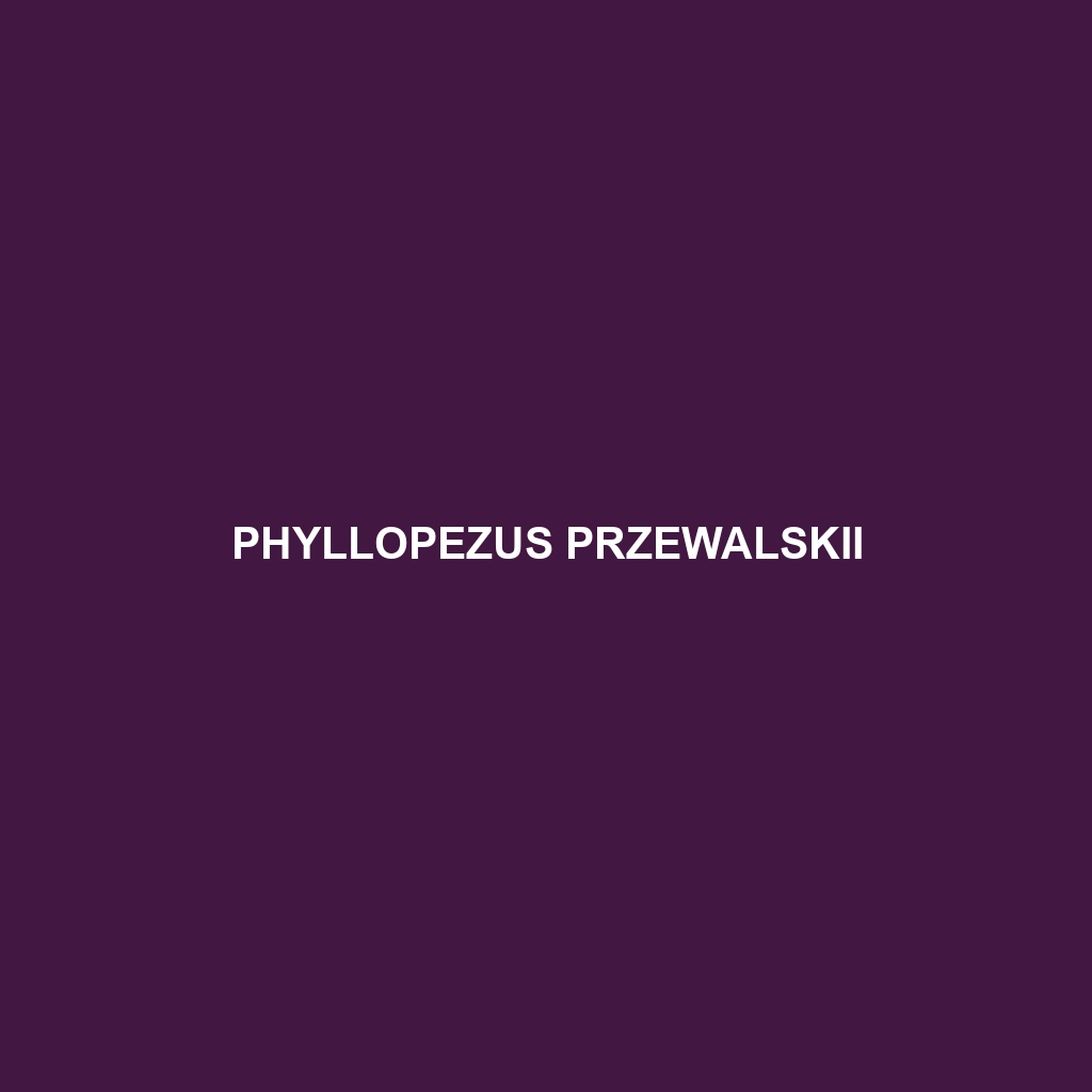 Phyllopezus przewalskii