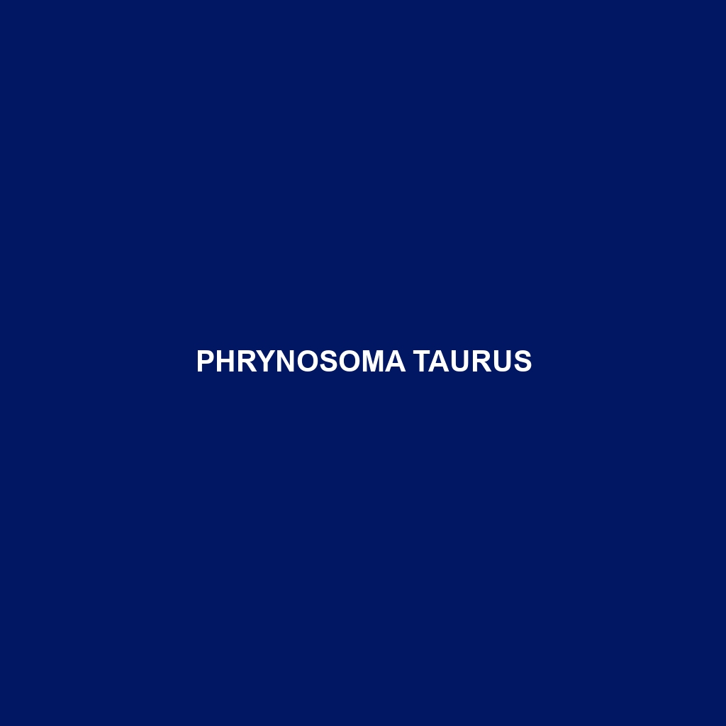 Phrynosoma taurus