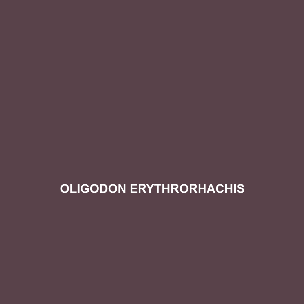 Oligodon erythrorhachis