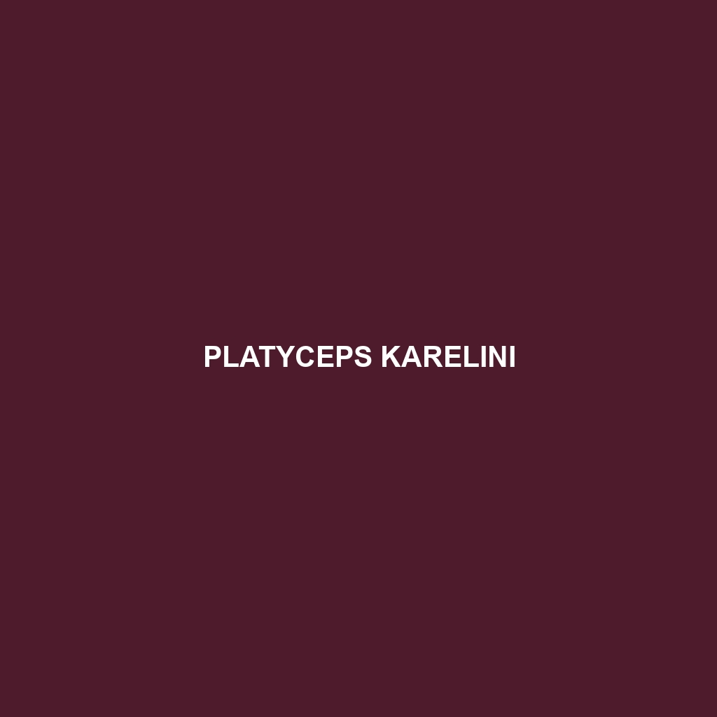 Platyceps karelini