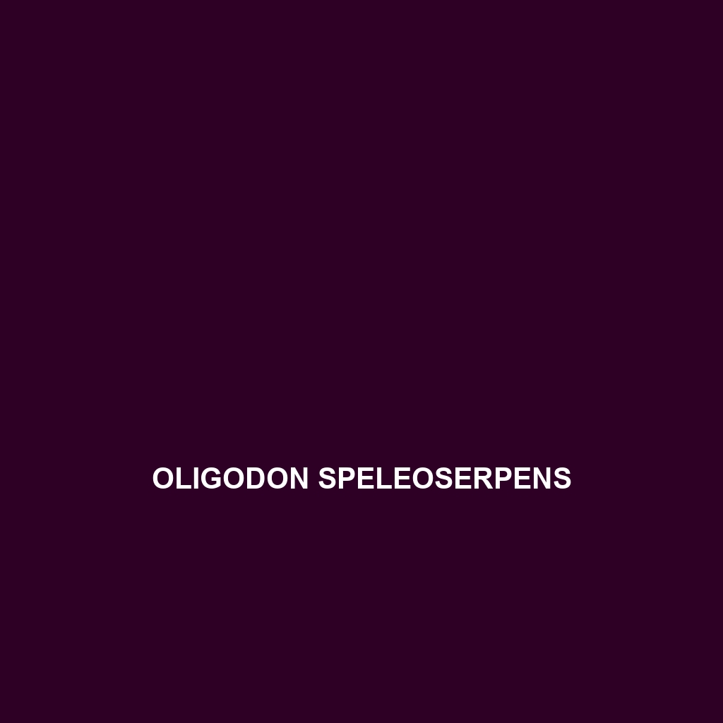 Oligodon speleoserpens