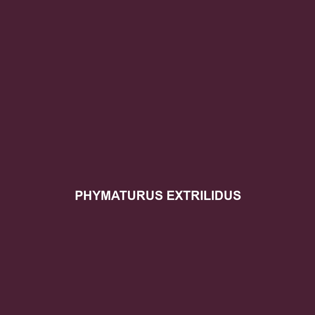 Phymaturus extrilidus