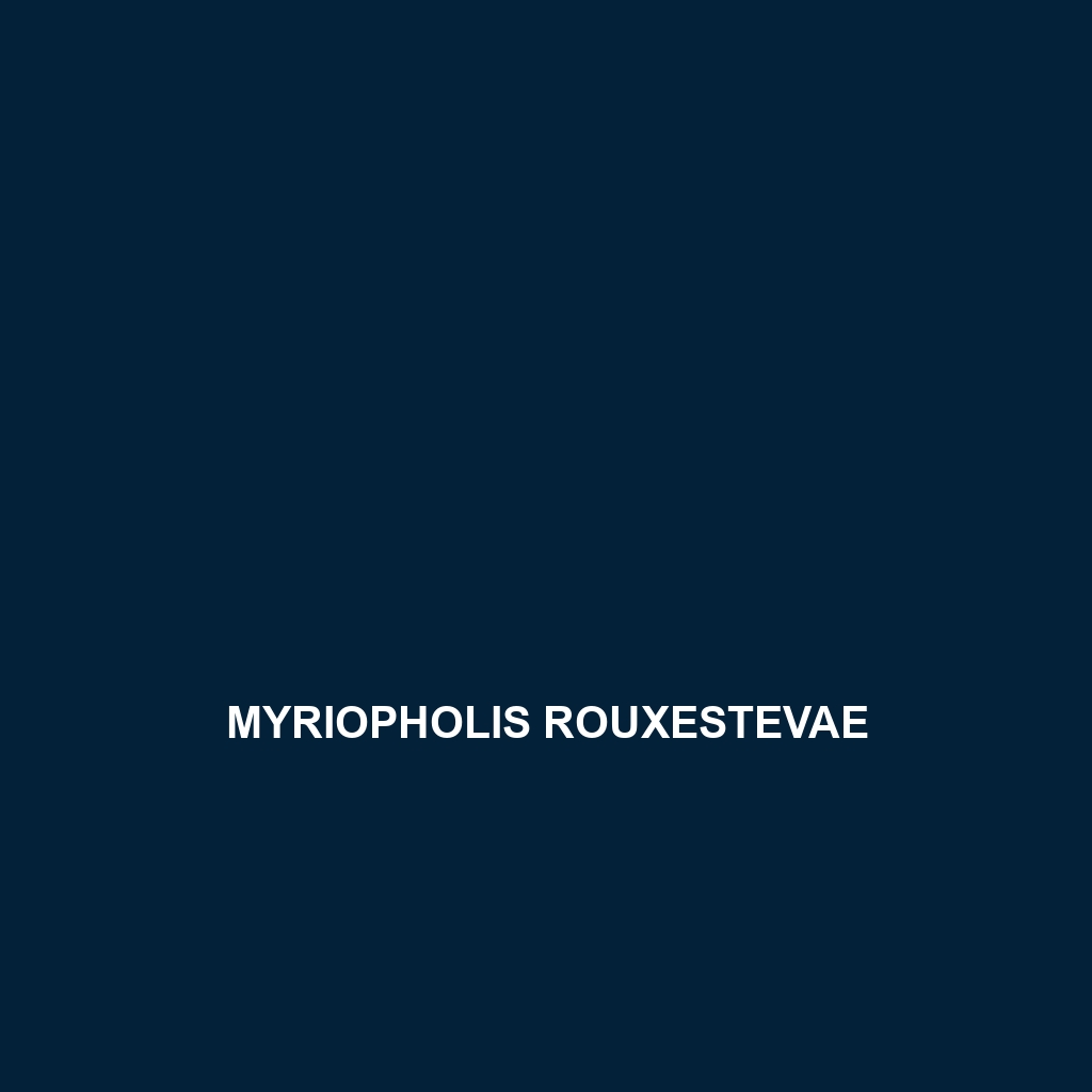 Myriopholis rouxestevae