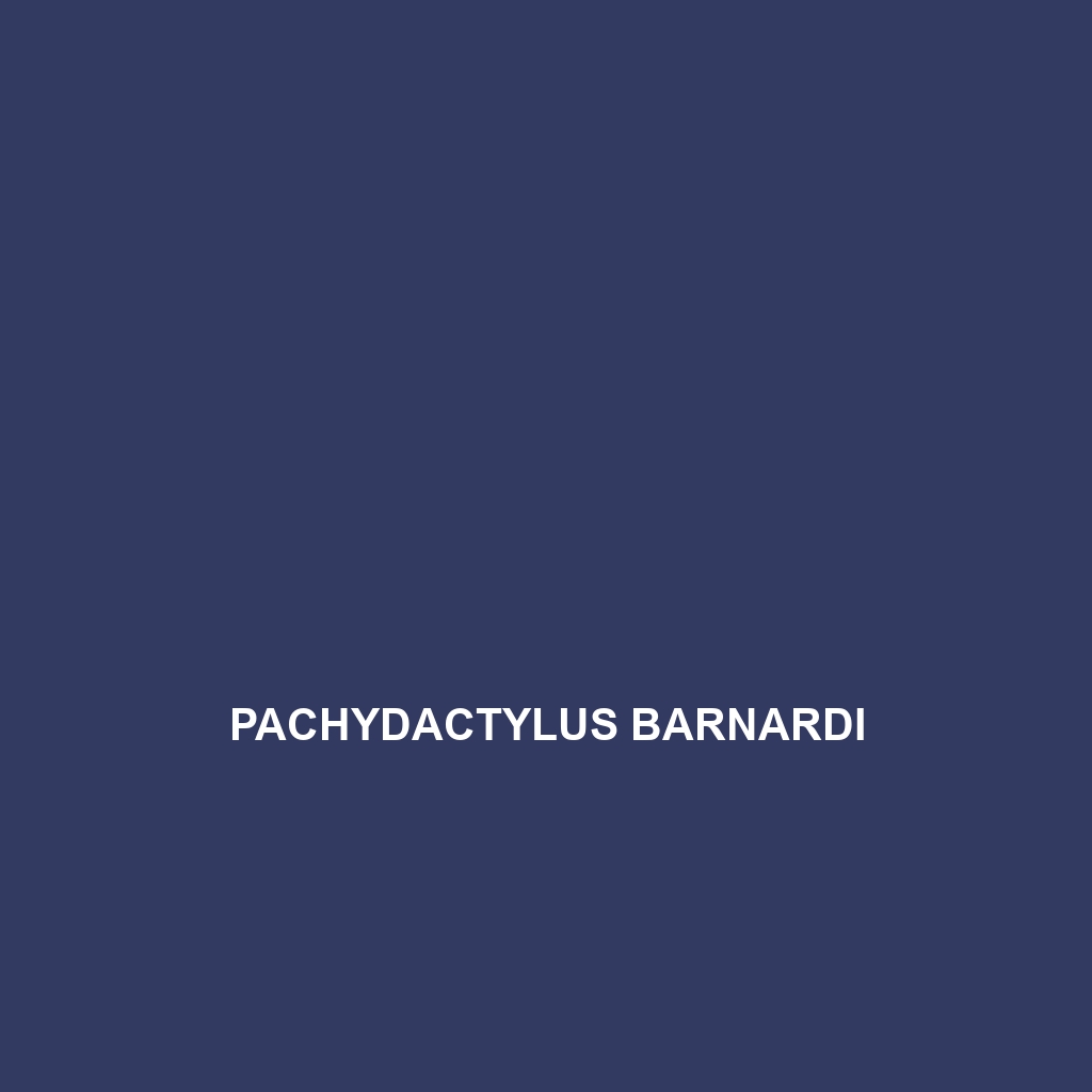 Pachydactylus barnardi