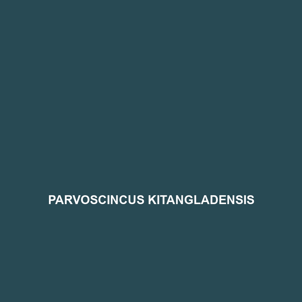 Parvoscincus kitangladensis