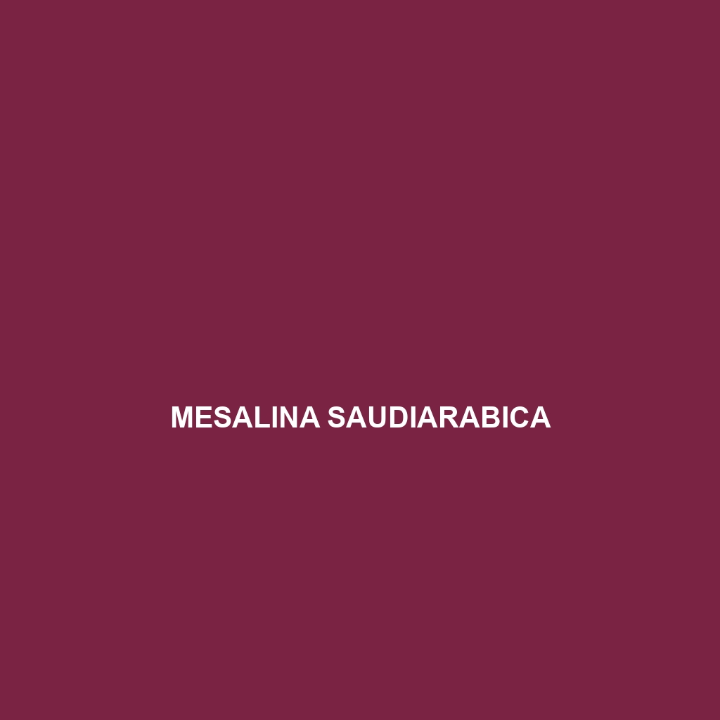 Mesalina saudiarabica