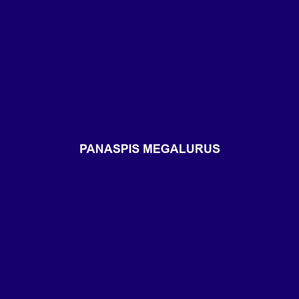 Panaspis megalurus