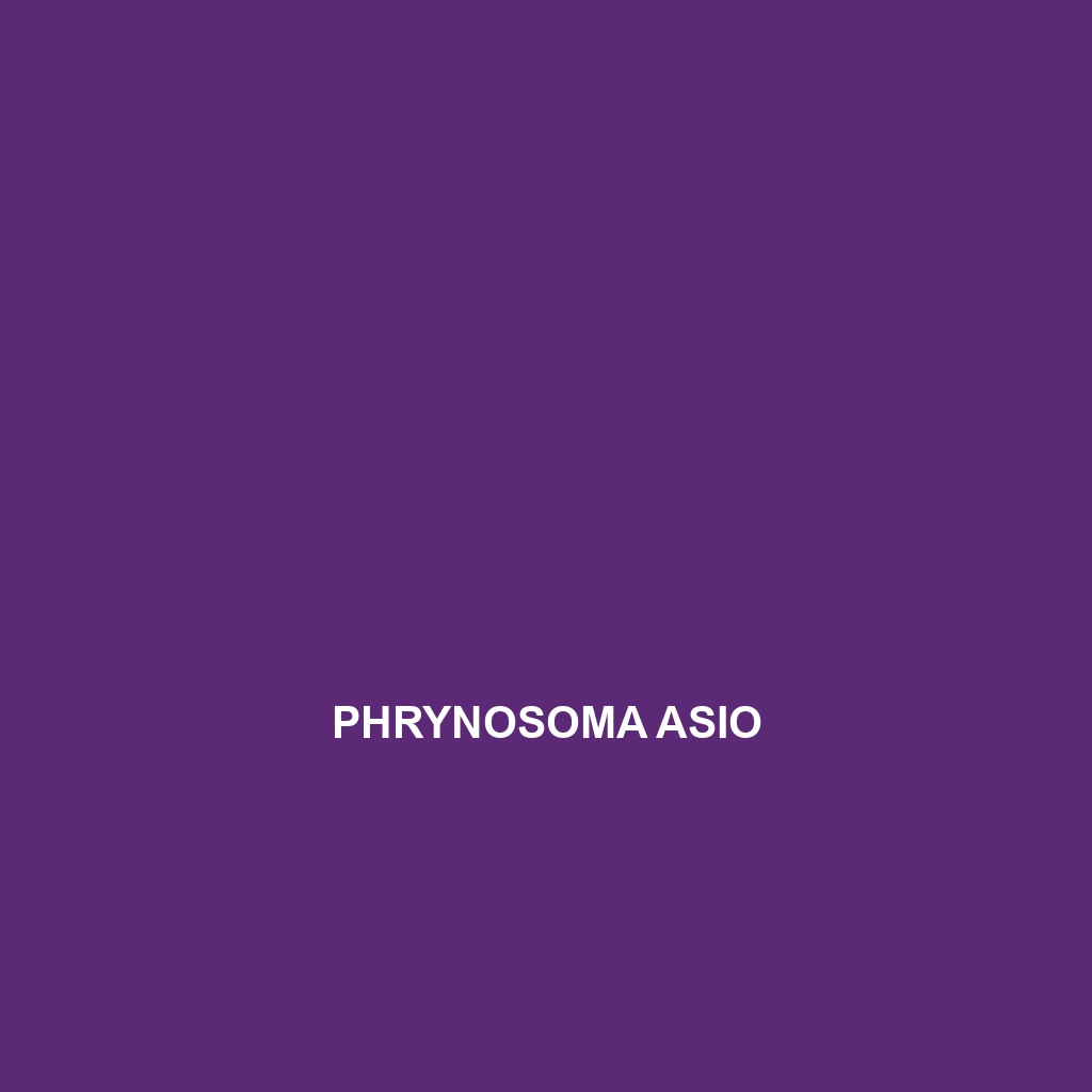 Phrynosoma asio