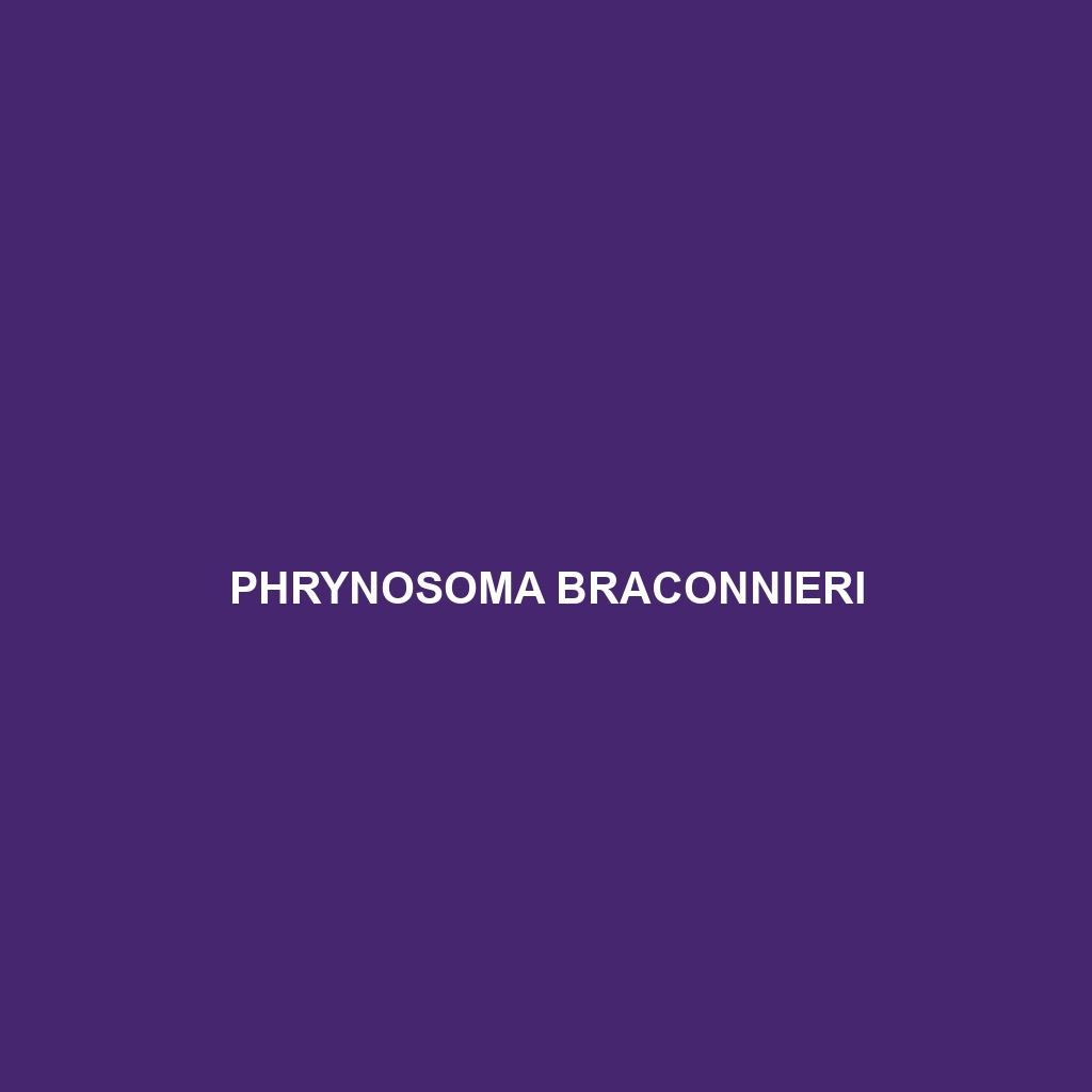 Phrynosoma braconnieri