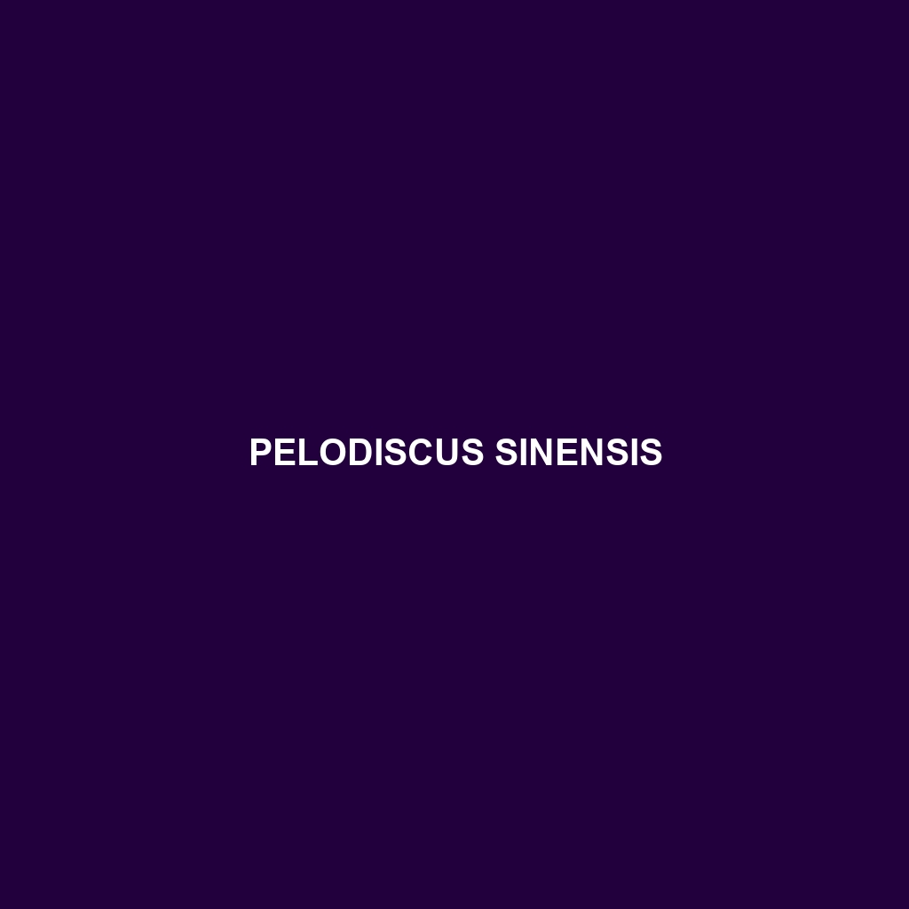 Pelodiscus sinensis