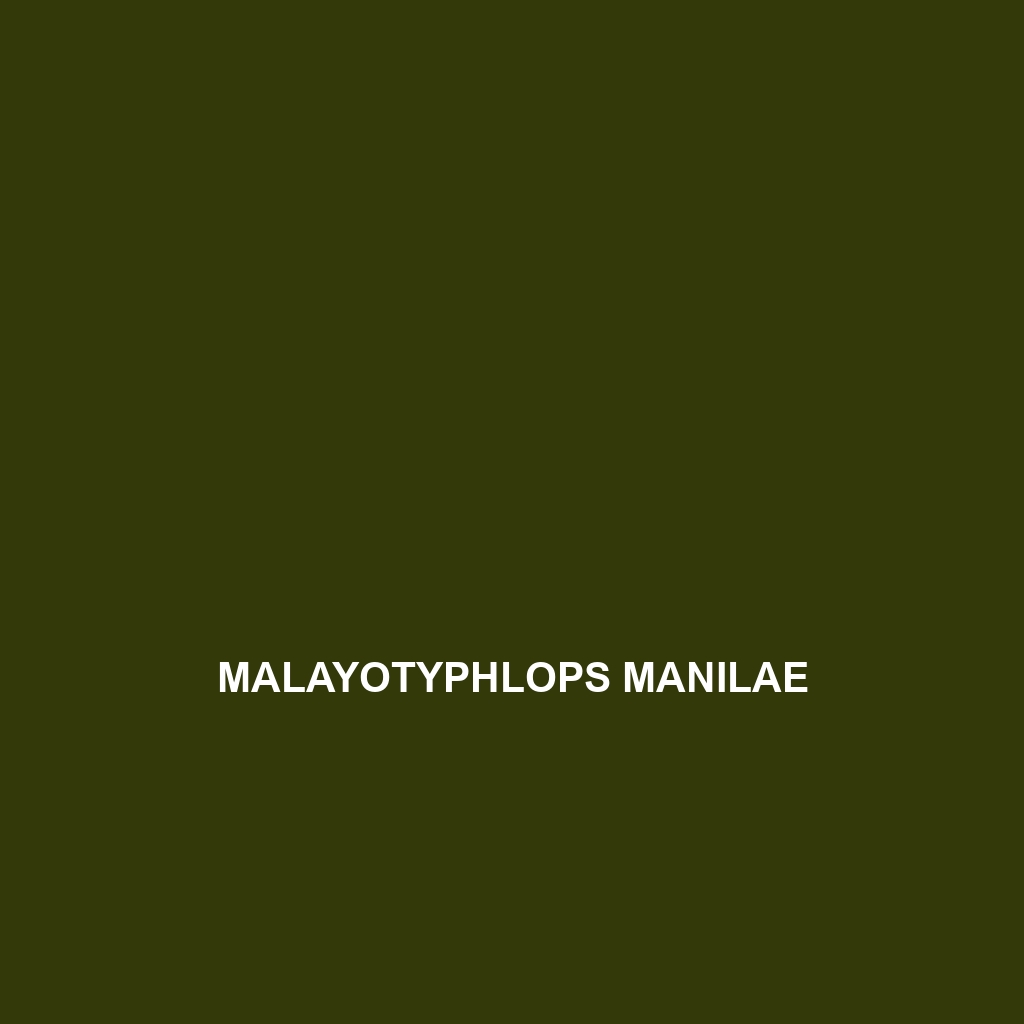 Malayotyphlops manilae