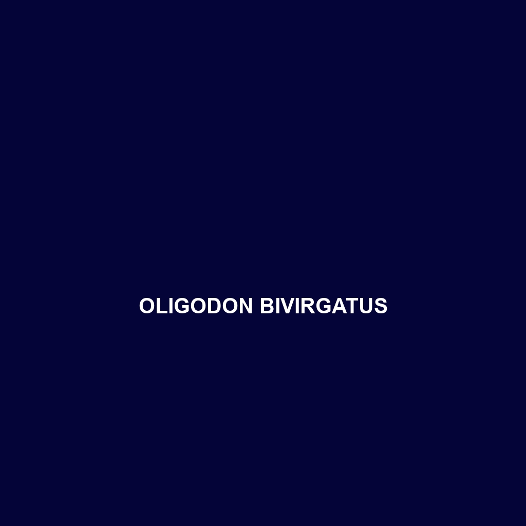 Oligodon bivirgatus