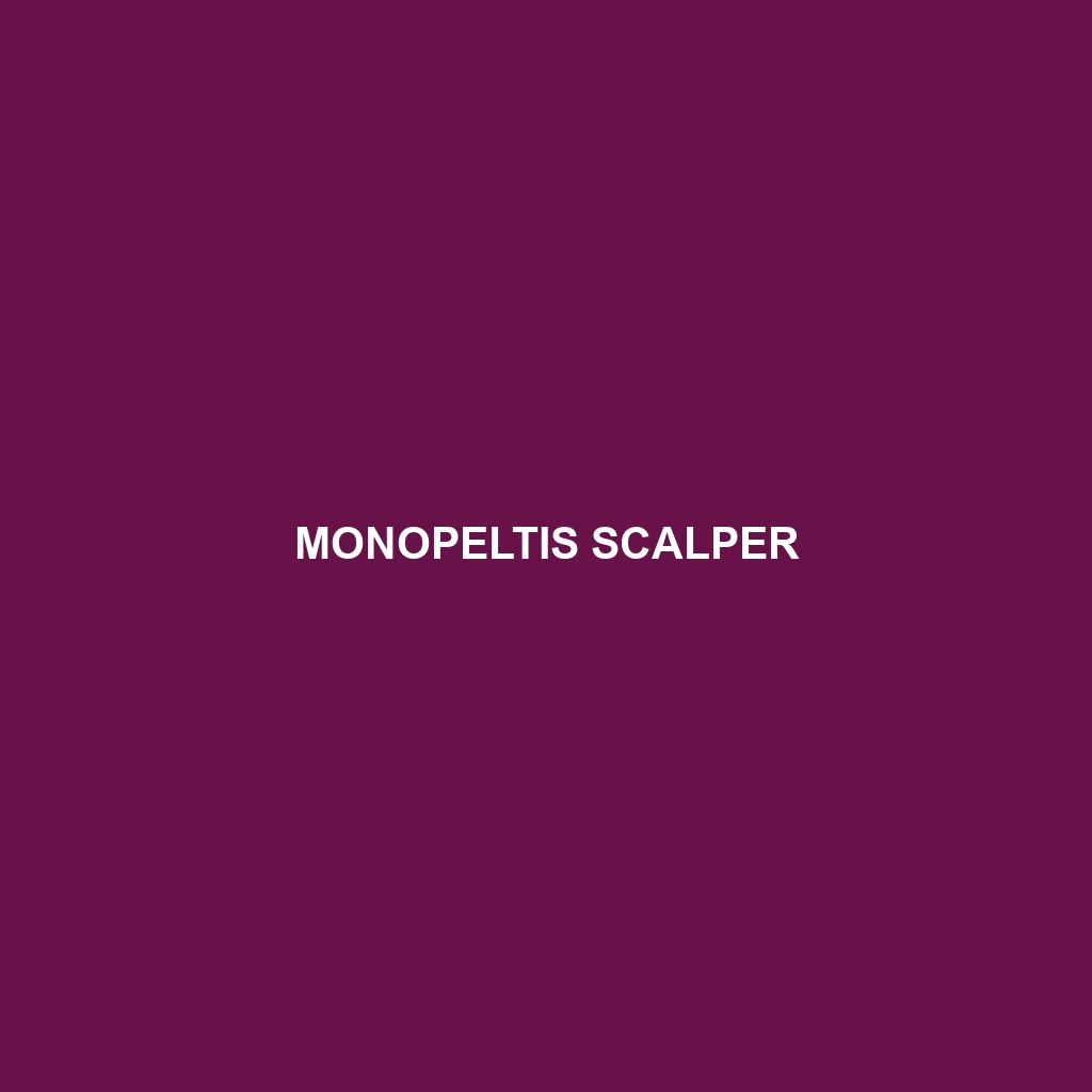 Monopeltis scalper