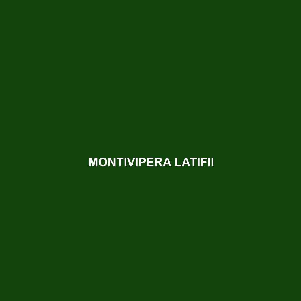 Montivipera latifii